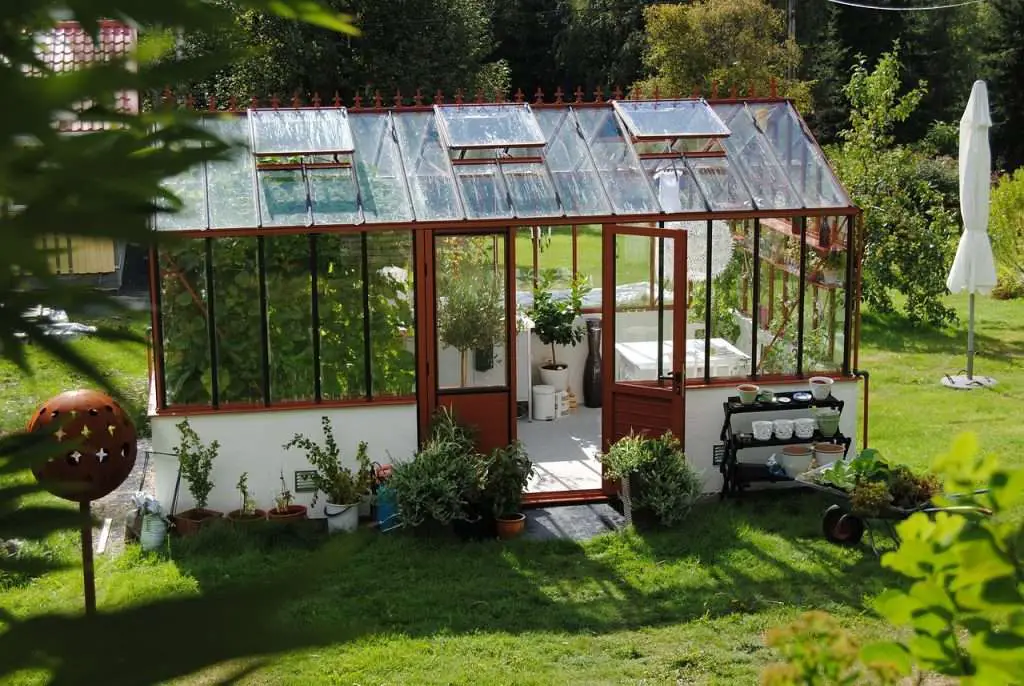 greenhouse, summer, grow-1192872.jpg