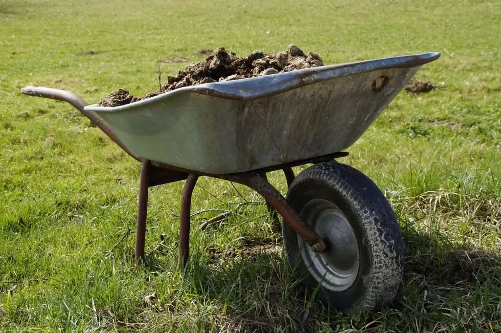 wheelbarrow, farm yard, damn-2188081.jpg