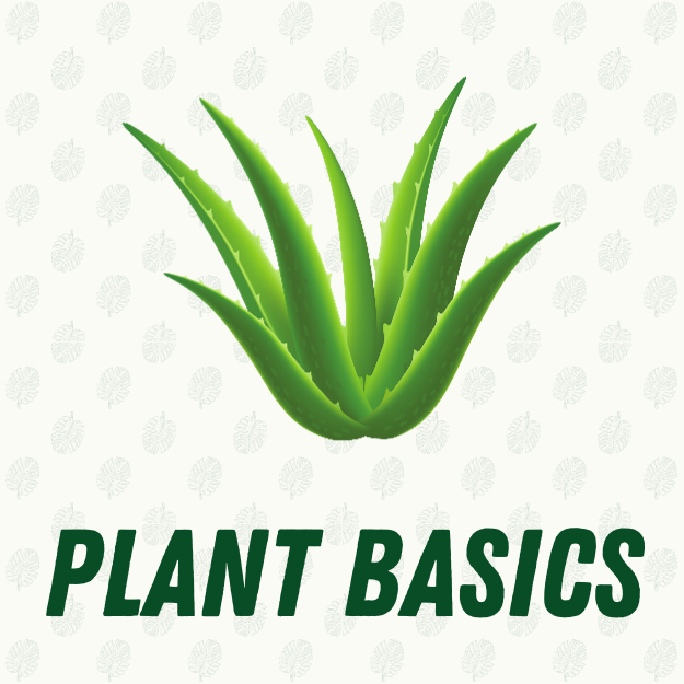 Plant Basics
