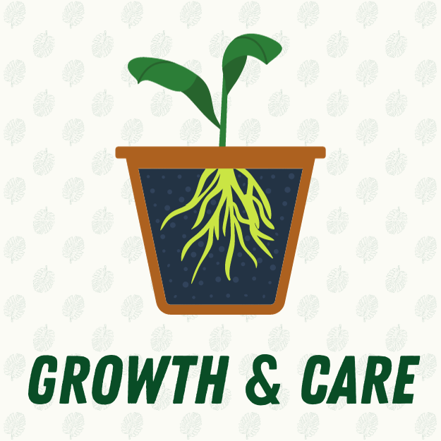 Growth & Care of Plants