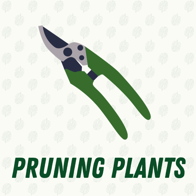 Pruning Plants