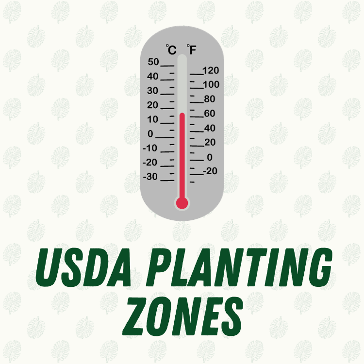 USDA Planting Zones